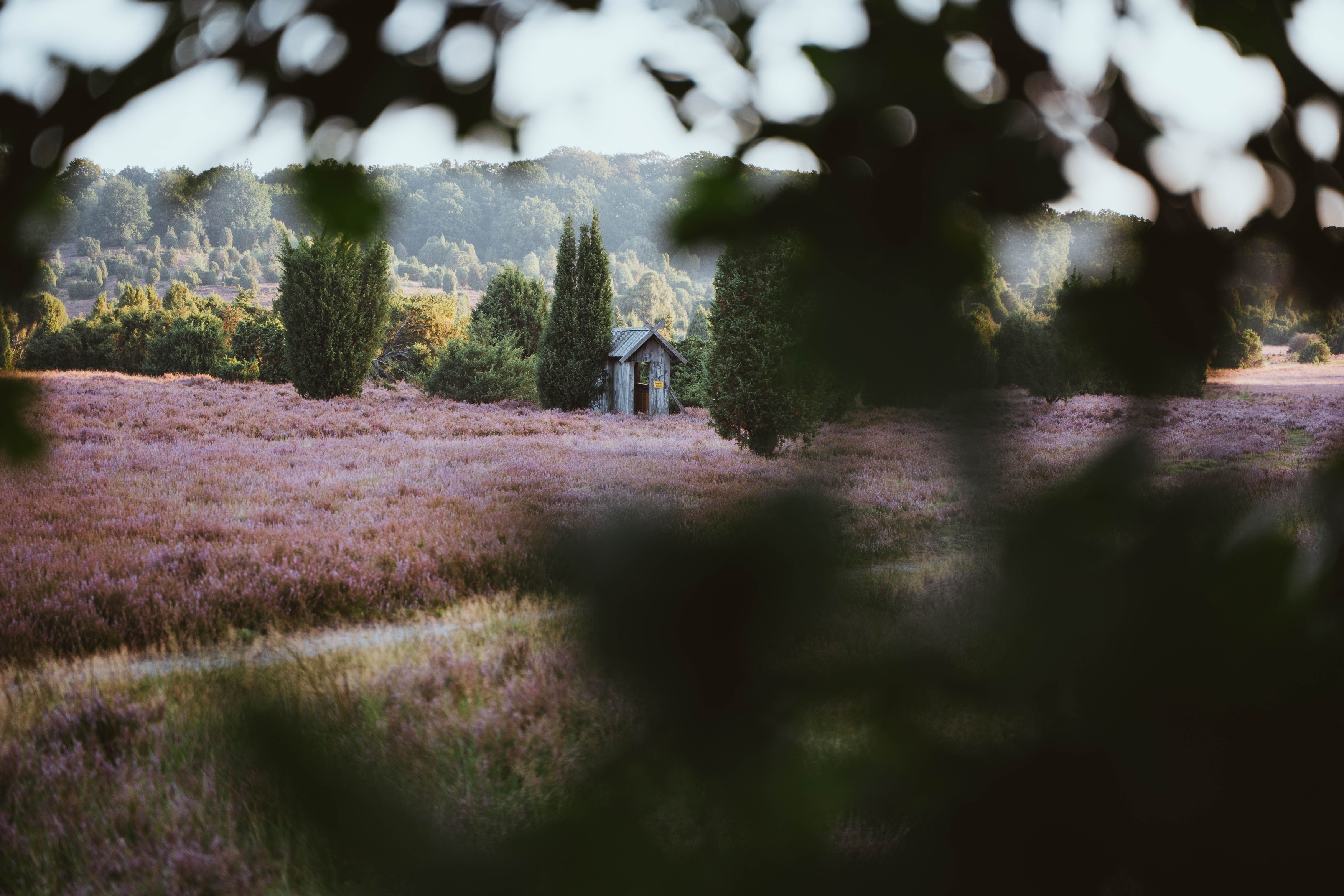Landscape Photo 23